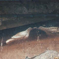 Una vecchia pittura