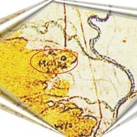 Particolare della carta (Tizzana)